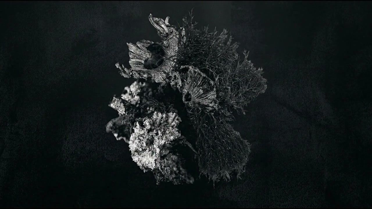 white-hole-organic+3hfb/10 loop preview