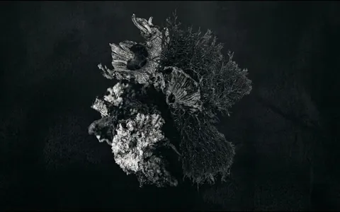 white-hole-organic+3hfb/10 loop preview