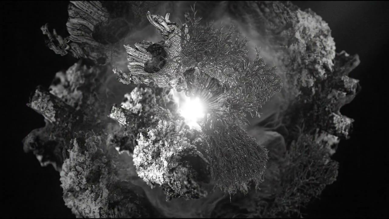 white-hole-organic+dedo/20 loop preview