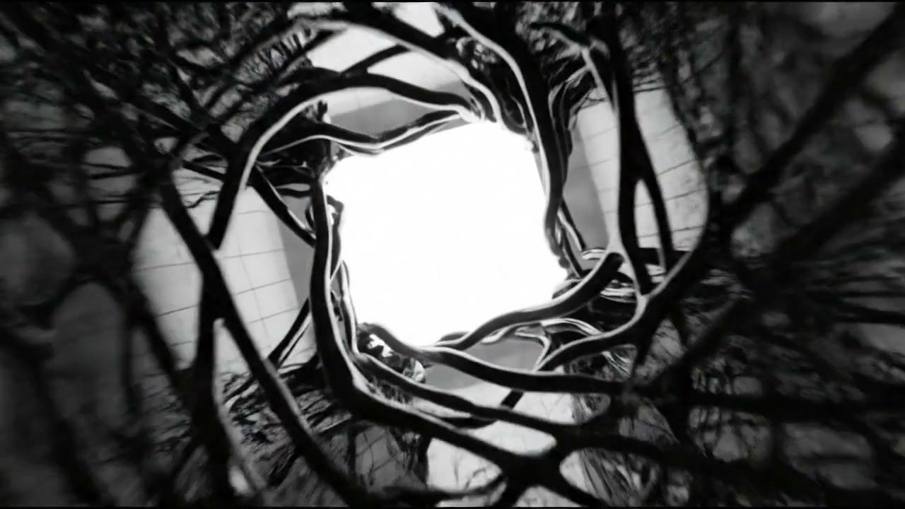 white-hole-organic+d19w/8 loop preview