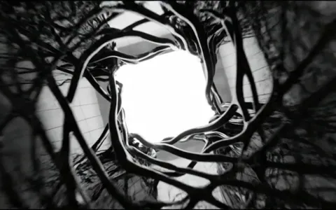 white-hole-organic+d19w/8 loop preview