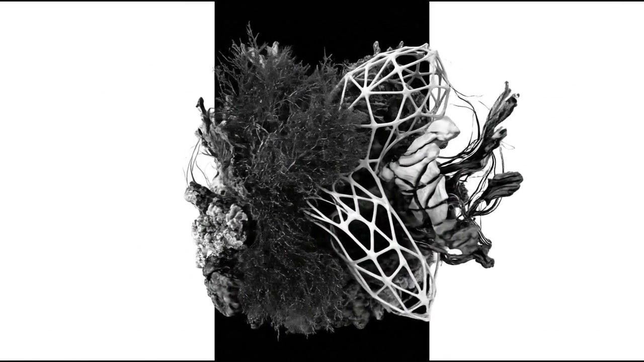 white-hole-organic+yget/11 loop preview
