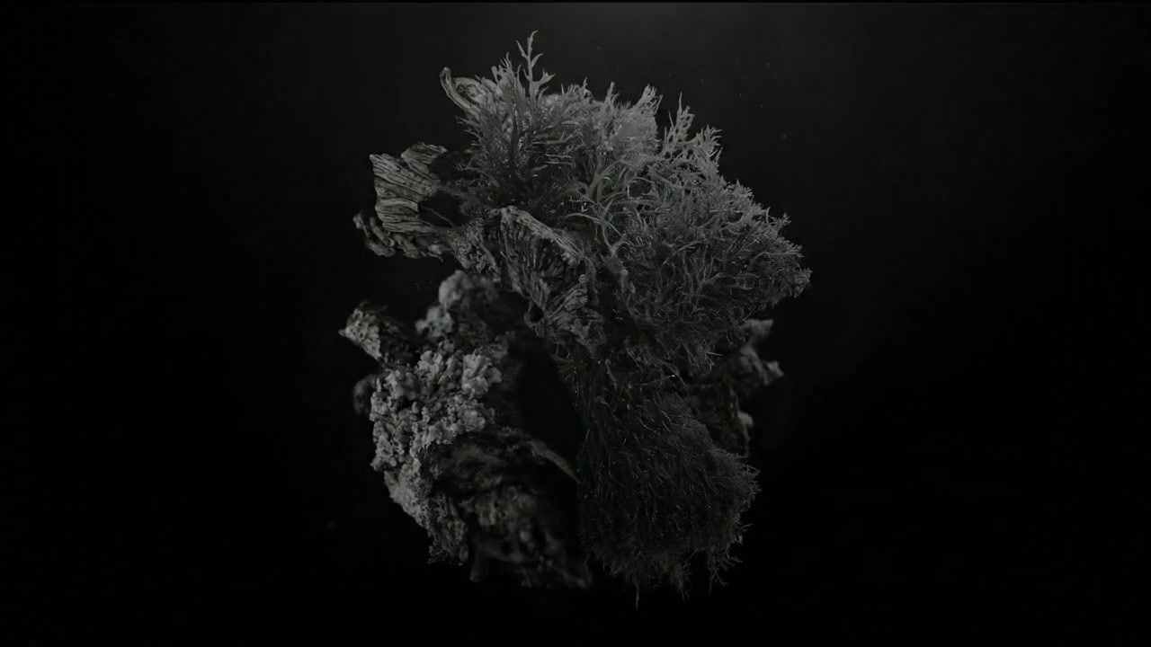 white-hole-organic+d35p/12 loop preview