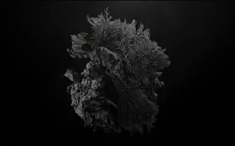 white-hole-organic+d35p/12 loop preview