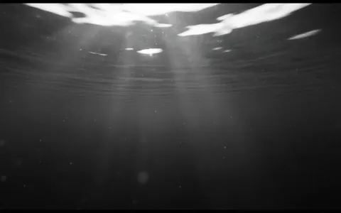 white-hole-radial-02+9s0l/13 loop preview