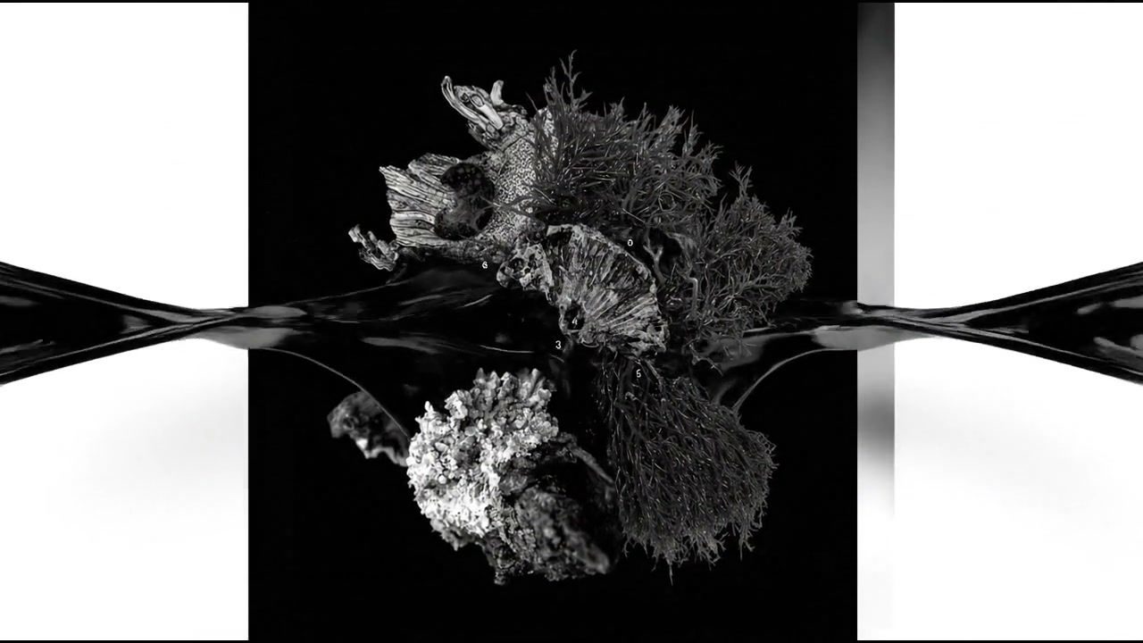 white-hole-reflections+y0tm/7 loop preview