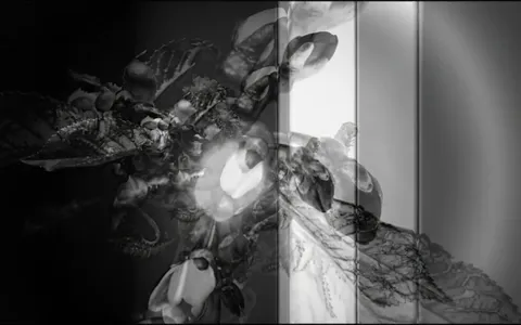 white-hole-reflections+kh5m/6 loop preview