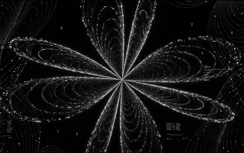 white-hole+woia/30 loop preview